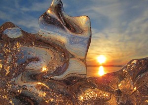 10351408_880300085400276_1910867508994699249_n