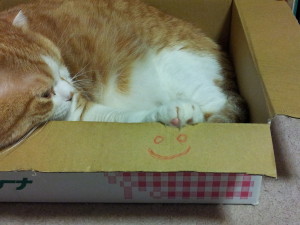 オレもひきこもりだぜ♪